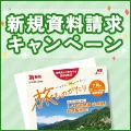 新規資料請求キャンペーン